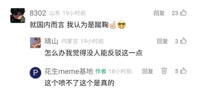 这是一张社交媒体评论区的静态截图，来自名为“花生meme基地”的账号评论区。IP地址显示为山东的用户“8302”首先发言，提出“就国内而言 我认为是蹴鞠”的观点，并搭配了指向上方和戴眼镜的表情；IP地址为内蒙古的用户“晴山”回复该观点，称“怎么办我觉得没人能反驳这一点”；随后账号作者“花生meme基地”也回复认可，称“这个喷不了这个是真的”。整个评论区呈现出网友对蹴鞠作为国内相关球类运动代表的一致认可，没有反对的声音。