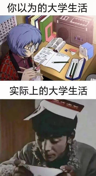 这是一张上下结构的对比梗图，上半部分配文“你以为的大学生活”，画面是改编自《新世纪福音战士》的绫波丽形象，她戴着眼镜坐在整洁的书桌前，一边用筷子吃泡面一边看向摊开的写满笔记的书本，桌面上还摆放着日历、书籍、收音机、文具等物品，呈现出充实认真、努力学习的理想大学生活状态；下半部分配文“实际上的大学生活”，画面是一名神情萎靡的男子，头顶盖着一本书，低头专注地盯着手里的手机，整体氛围颓废慵懒，展现出当代大学生实际生活中普遍存在的躺平、懈怠的状态，二者形成强烈反差，精准戳中很多大学生的生活共鸣。