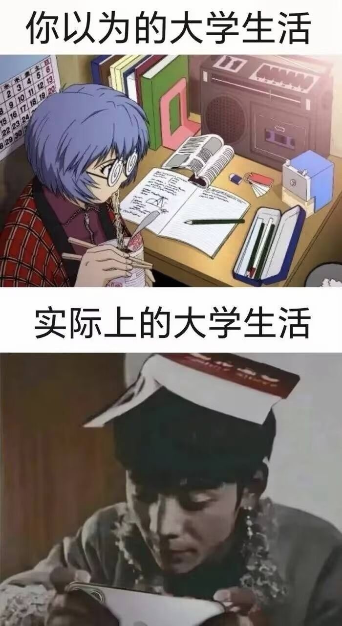 绫波丽