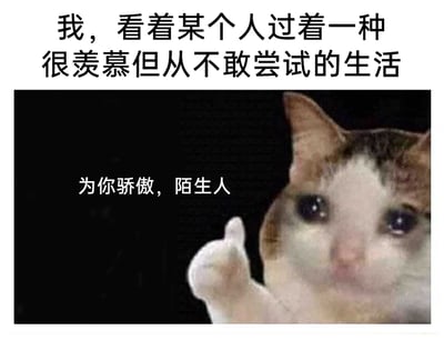 这是一张图文结合的自嘲类网络表情包，上方配文“我，看着某个人过着一种很羡慕但从不敢尝试的生活”，下方是一只眼含泪水、神情委屈的猫咪，它竖起大拇指，旁边配文“为你骄傲，陌生人”。整体内容精准表达了当代很多人内心的矛盾：既向往他人勇敢、自由的生活方式，又因自身的胆怯、顾虑不敢迈出改变的脚步，只能带着委屈又敬佩的心情为他人点赞，这种复杂的情绪很容易引发网友的共鸣，常被用来在社交平台抒发这类羡慕又自嘲的心情。