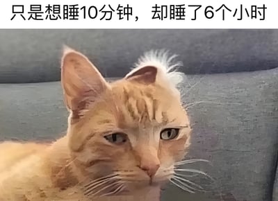 图片上方配有文字‘只是想睡10分钟，却睡了6个小时’，下方是一只橘猫趴在灰色沙发上的图像。橘猫毛发略显凌乱，眼神疲惫，表情慵懒，完美呼应了文字所描述的‘本想小睡却睡过头’的日常经历，整体风格幽默地展现了人们对午睡时间失控的无奈与共鸣。