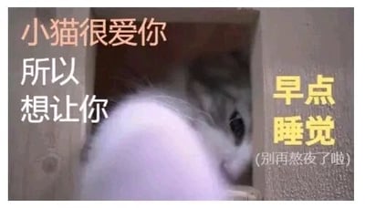 这是一张治愈系的静态图文混排图，画面主体是一只蜷缩在木质小空间里的灰白色小猫，仅露出部分头部和身体，神态温顺慵懒。图中添加了多组不同颜色的文字：左侧粉色文字为“小猫很爱你”，下方白色文字是“所以想让你”，右侧黄色文字为“早点睡觉”，还有括号内的灰色小字“(别再熬夜了啦)”。整体采用拟人化的口吻，以小猫的视角温柔地提醒观看者不要熬夜、早点休息，风格暖心治愈，适合用来关心他人或进行自我提醒。