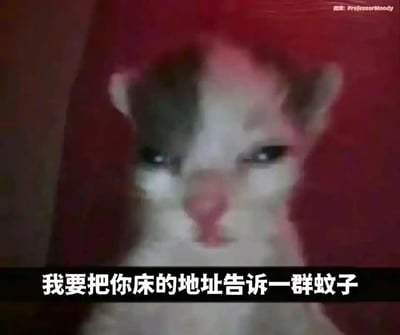 这是一张搞笑整蛊类的静态表情包，主体是一只面部模糊、表情阴沉的猫咪，背景为暗红色调。图片底部配有醒目的白色文字“我要把你床的地址告诉一群蚊子”，用一种戏谑的方式放出“狠话”，将日常被蚊子叮咬的烦恼转化为整蛊的玩笑，风格诙谐有趣，适合在社交互动中用来和朋友调侃、表达小情绪。图片右上角带有微博用户“ProfessorMoody”的水印，标明了内容来源。