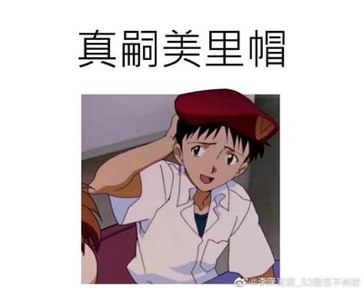 这是一张针对经典动画《新世纪福音战士》的二次创作梗图，图中动画主角碇真嗣被P上了同作品角色葛城美里的标志性红色贝雷帽，他一只手扶着帽子，脸上露出局促又带点笑意的表情。图上方配有文字“真嗣美里帽”，玩了谐音梗，将“真嗣戴美里的帽”简化成类似复合人名的表述，通过角色元素的错位结合和文字谐音制造出趣味效果，是ACGN爱好者对原作角色的趣味玩梗内容。