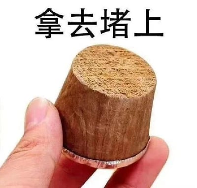 图片中一只手握着一个圆柱形的木塞，木塞顶部粗糙多孔，呈浅棕色。背景为纯白色，上方有黑色粗体中文文字“拿去堵上”。整体构图简洁，文字与木塞形成呼应，暗示用木塞去堵住某个开口，通常用于幽默调侃的语境，比如让话多的人闭嘴。