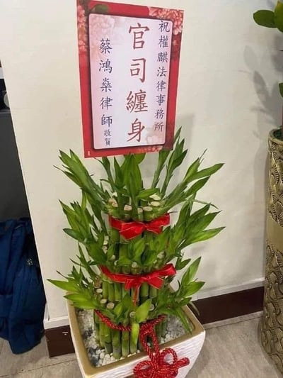 图片中展示了一盆装饰有红色丝带的竹子，竹子后方墙上挂着一个红色边框的牌匾。牌匾上的文字看似是法律事务所的祝贺，但内容却写着"官司纏身"，形成了一种幽默的反差效果。这种设计利用了传统祝贺牌匾的形式，却表达了相反的含义，具有明显的讽刺和搞笑意图。