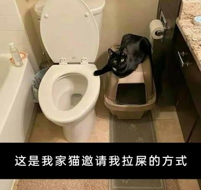 这是一张记录宠物日常的实拍静态图，场景位于家庭浴室中：画面左侧是白色浴缸，中间是掀开圈盖的白色马桶，右侧是放在地垫上的封闭式猫砂盆，一只胸口带有白毛的黑猫趴在猫砂盆顶部，将一只前爪搭在马桶圈上，睁着眼睛看向镜头。图片底部配有黑色背景白色文字的趣味配文“这是我家猫邀请我拉屎的方式”，以拟人化的视角解读猫咪的动作，把猫咪的可爱姿态转化为充满趣味的“邀请”，展现出铲屎官与自家猫咪之间温馨又搞笑的相处瞬间，充满生活趣味。