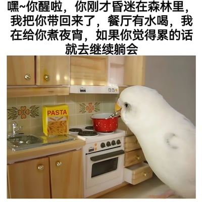 图片上方有一段温馨的文字："嘿~你醒啦，你刚才昏迷在森林里，我把你带回来了，餐厅有水喝，我在给你煮夜宵，如果你觉得累的话就去继续躺会"。下方是一只白色鹦鹉站在玩具厨房里，正用勺子在红色小锅里煮东西，旁边的灶台上放着一盒标有"PASTA"的意大利面盒子，整个场景营造出一种可爱又温馨的氛围。