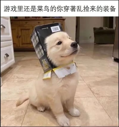 图片中是一只黄色的小狗坐在铺有浅色瓷砖的厨房地面上，头上顶着一个黑色的纸箱（疑似产品包装盒），纸箱边缘还露出部分白色标签。小狗眼神呆萌地向上看，姿态滑稽。图片上方配有文字“游戏里还是菜鸟的你穿著乱捡来的装备”，将小狗头顶纸箱的搞笑造型比喻为游戏新手胡乱捡拾装备穿戴的样子，通过可爱宠物与游戏场景的结合制造幽默效果。