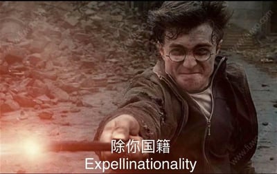 图片中是《哈利·波特》系列电影的主角哈利·波特，他身处一片布满碎石的战斗废墟中，头发凌乱，脸上带有灰尘，身穿破损的棕色外套，正神情坚定地向前伸出魔杖，杖尖发出耀眼的光芒。图片下方叠加了幽默改编的咒语文字“除你国籍”及其英文翻译“Expellinationality”，将原作中经典的“除你武器（Expelliarmus）”咒语进行了谐音和语义上的趣味改造，形成了具有调侃意味的网络迷因。