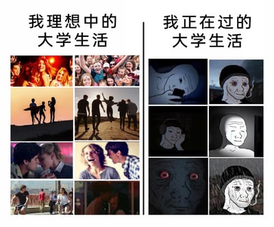 这张图片采用左右分栏的九宫格对比形式，左侧呈现“我理想中的大学生活”：包含热闹狂欢的派对、海边好友冲浪、户外结伴同行、浪漫的情侣互动、甜蜜的亲吻、校园骑行等充满活力、社交丰富、充满青春浪漫色彩的场景，所有画面均为真人素材，传递出欢快、兴奋、甜蜜的情绪；右侧呈现“我正在过的大学生活”：使用网络流行的Wojak（Feels Guy）风格卡通形象，画面中是哭泣、疲惫、麻木、孤独发呆、雨中抽烟等充满负面情绪的状态，形象表情悲伤、眼神空洞，传递出孤独、焦虑、压抑、疲惫的真实情绪。整张图通过强烈的视觉反差，精准调侃并引发共鸣当代大学生理想中丰富多彩的大学生活与现实中孤独疲惫的真实状态之间的巨大落差。