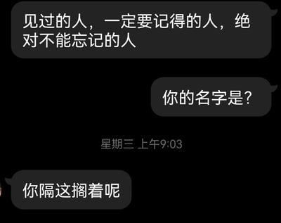 这是一张即时通讯软件的聊天记录截图，对话充满了搞笑的反差感：聊天者A先发送了一段郑重的表述“见过的人，一定要记得的人，绝对不能忘记的人”，营造出严肃的氛围；聊天者B却故意打岔，回复“你的名字是？”，将对方的郑重话语曲解成在介绍需要记住的人；最后聊天者A回复“你隔这搁着呢”，吐槽聊天者B在玩梗、故意捣乱，是朋友间充满趣味的日常互动。