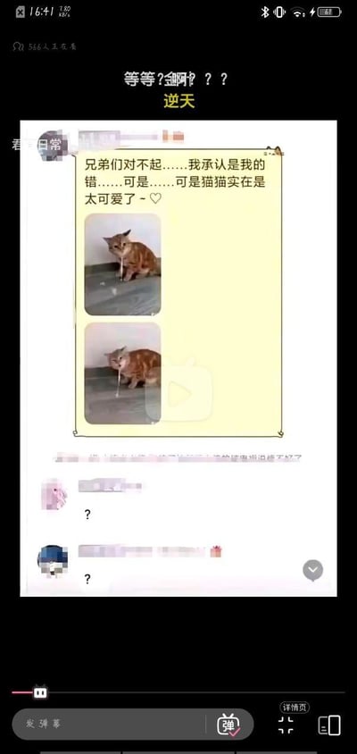 这是一张直播界面的截图，画面核心展示了一段社交群聊的记录：发言者先发布了一段道歉文案“兄弟们对不起……我承认是我的错……可是……可是猫猫实在是太可爱了~♡”，并附上两张橘猫的图片，橘猫嘴里叼着的白色长条物体看起来酷似香烟，结合直播顶部的“等等?剑啊???逆天”字样，暗示发言者可能因沉迷猫咪可爱模样而犯下离谱错误；下方两位群友仅回复了问号，表达出疑惑和无语的情绪。整个内容通过“离谱错误+可爱猫咪”的反差感制造笑点，风格荒诞搞笑。