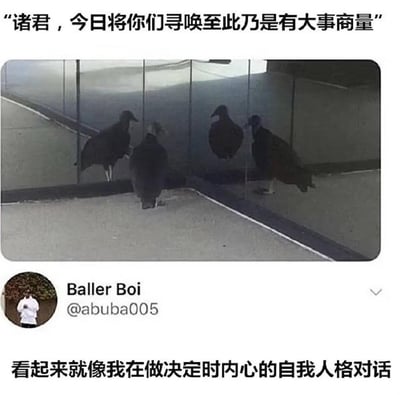 一只秃鹫站在三面镜子的角落，误将镜子里的倒影当成同类，看起来像是多只秃鹫聚在一起“开会”。图片上方配文“诸君，今日将你们寻唤至此乃是有大事商量”，下方推特用户Baller Boi配文“看起来就像我在做决定时内心的自我人格对话”，精准调侃了人们在做决定时内心纠结、多个自我博弈的真实状态，搞笑又戳心。