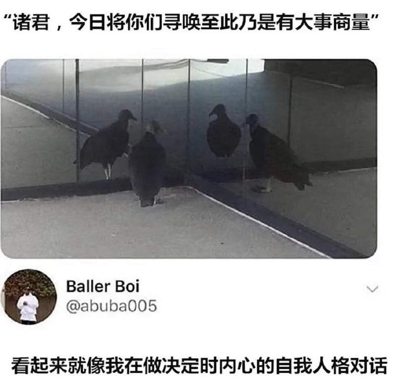 秃鹫