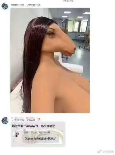 图片展示了一个奇特的玩偶，它有着马的头部和人类女性的身体，长发披肩，背景看起来像是一个工作室或检查室。下方配有评论："混鲲群有个卖娃娃的，她在吐槽说 怎么会有定做这种玩意的"，表达了对这种猎奇玩偶的困惑和不解。