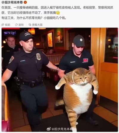 这是一张搞笑合成梗图，将一只圆滚滚的胖橘猫合成到餐厅场景中，被两名警察模样的人员架着，营造出猫被逮捕的画面。而配文却描述是一只瘦骨嶙峋的饿猫偷吃被抓，还吐槽美国警察有功夫抓猫却不去管“零元购”的社会现象，文字和图片的胖瘦反差，加上对社会现象的调侃，形成了强烈的搞笑效果。