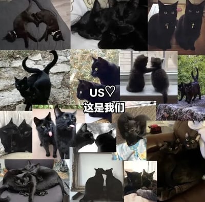 一张由多张黑猫照片拼接而成的拼贴画，展示了各种姿态和场景下的黑猫。图片中央有文字"US♡ 这是我们"，表达了对黑猫的喜爱和珍视。照片中的黑猫有的摆出爱心形状，有的相互依偎，有的好奇张望，有的慵懒休息，展现了黑猫的各种可爱瞬间。