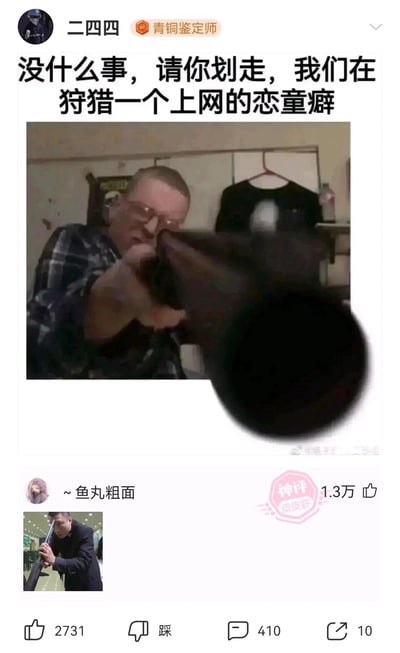 这是一张来自皮皮虾平台的社交媒体内容截图，用户“二四四”发布了一张外网流传的外国人持枪瞄准镜头的梗图，配文“没什么事，请你划走，我们在狩猎一个上网的恋童癖”，以此表达对恋童癖群体的强烈抵制与谴责；用户“~鱼丸粗面”发布了另一张持枪人物的图片作为评论，用视觉内容呼应楼主的“狩猎”主题，该评论获得1.3万点赞成为神评，整体内容以玩梗的方式凝聚网友对恋童癖的反对态度，风格戏谑但立场明确。