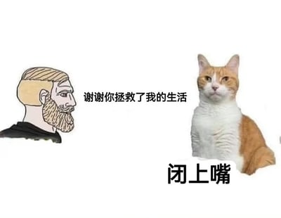 这是一张充满反差感的搞笑静态梗图，画面左侧是有着金色短发和络腮胡的卡通男性，他面带感激地看向右侧的橘白猫咪，配文‘谢谢你拯救了我的生活’；画面右侧是一只端坐的橘白猫咪，它眼神嫌弃、表情不耐烦，下方配文‘闭上嘴’。两者的对话形成强烈的情绪反差，将人类的真诚感恩与动物的嫌弃态度对立起来，营造出荒诞又搞笑的氛围，常被用作表情包来表达对他人过度抒情的不耐烦，或是用于朋友间的玩梗调侃。