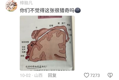 这是一条由山西用户“樟脑凡”在10月2日发布的社交媒体内容，获得了7273个点赞。内容核心是一张来自神经科学专业教材的大脑皮质运动区人体映射图（即“运动小人”），该图以变形拟人化的人体形态，展示大脑不同区域与人体各部位运动控制的对应关系：手、面部等需要精细运动的部位在图中占比更大，对应大脑分配的控制区域更多。图中标注了“第一运动区（中央前回）”以及各对应人体部位和功能，包括“手、前臂、臂、躯干、骨盆、大腿、小腿、足”和“面部表情、流涎、发声、咀嚼、吞咽”，图下方还有手写的疑问“运动的精细程度相关？”。发布者配文“你们不觉得这张很猎奇吗😨”，表达对这个专业医学图示奇特造型的直观感受。