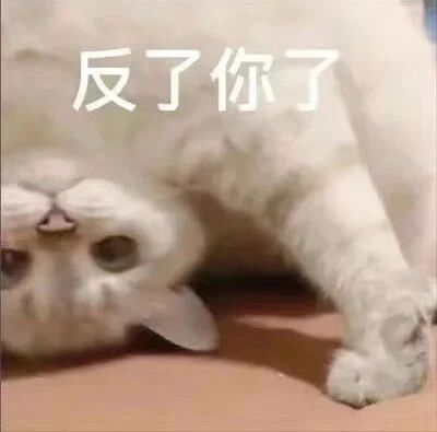 这是一张静态的文字加注表情素材图，画面主体是一只白色的猫咪，它以颠倒的姿态趴在平面上，眼睛圆睁看向镜头，神态看起来带着一丝不满和威慑感，图片上方用白色字体标注了“反了你了”的文字，将猫咪的神态和文字结合，营造出一种假装生气、强势斥责的搞笑效果，适合用来在聊天中表达假装愤怒、强势吐槽的情绪。
