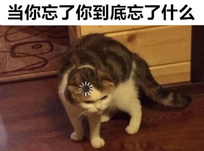 图片上方有文字'当你忘了你到底忘了什么'，下方是一只表情困惑的猫站在木地板上，猫头上有一个小花装饰。这张梗图通过猫的迷茫表情和文字结合，幽默地表现了人们忘记某件事却想不起来具体是什么的那种困惑和抓狂状态。