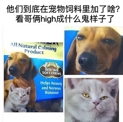 图片上方配有文字'他们到底在宠物饲料里加了啥? 看哥俩high成什么鬼样子了'，下方由三张图片组成：左侧是标有'All Natural Calming Product'的宠物食品包装，上面有一只狗和一只猫；右侧上半部分是包装上狗的脸部特写，眼神迷离；右侧下半部分是包装上猫的脸部特写，眼神锐利。整体通过宠物食品的'镇静'宣传与动物看似'high'的表情形成反差幽默，调侃宠物食品效果。
