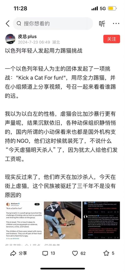 该图片为社交媒体平台帖子截图，内容描述以色列年轻人发起所谓“用力踢猫挑战”，并包含对特定群体的负面评价及争议性言论。帖子发布者为“皮总plus”，发布时间2024年7月23日，地点显示为湖北。内容中存在对民族的不当关联和攻击性表述，属于争议性社交内容。