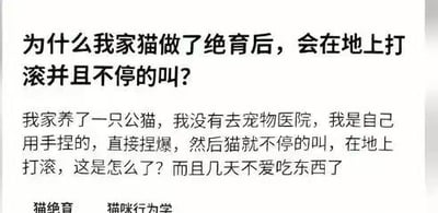 这是一张竖屏纯文字的养宠求助内容，用户称自己未带公猫去宠物医院，而是手动捏爆其睾丸完成绝育，之后猫咪出现不停嚎叫、在地上打滚的情况，且连续几天食欲不振，用户就此问题寻求解答。该内容反映了不专业的养宠操作可能对猫咪造成严重伤害，属于宠物养护相关的求助信息。