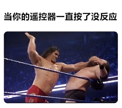 A meme showing a WWE wrestling scene where one wrestler aggressively grabs another, paired with text '当你的遥控器一直按了没反应' to humorously depict the frustration of a non-responsive remote control.