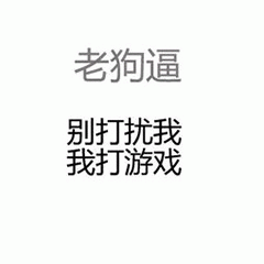 老狗逼别打扰我打游戏