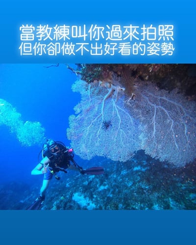 图片展示了一位潜水员在水下的场景，他穿着全套潜水装备，正对着镜头比出大拇指的姿势。潜水员周围是蓝色的海水和大型珊瑚礁。图片上方配有文字：'當教練叫你過來拍照但你卻做不出好看的姿勢'，幽默地表达了人们在被要求拍照时摆不出自然好看姿势的尴尬处境。