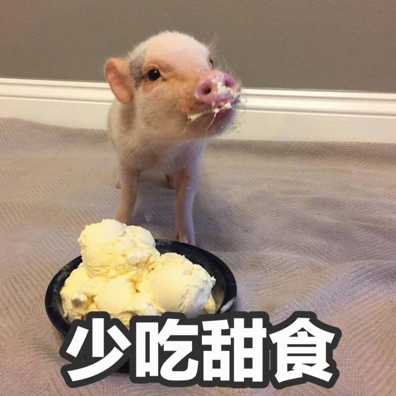 小猪偷吃冰淇淋还劝人少吃甜食