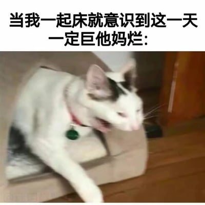 这是一张文字加注类的猫咪表情包，上方配文“当我一起床就意识到这一天一定巨他妈烂:”，下方是一只戴着红色项圈和绿色铃铛的白黑花色猫咪，它瘫在猫窝中，脸部扭曲、神态烦躁萎靡，动作与表情完美契合了起床时就预感日子不顺的糟糕、烦躁的负面情绪，常被用来吐槽生活中不顺心的时刻，很容易引发人们的共鸣。