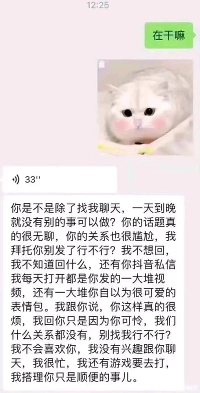 这是一张静态的微信聊天记录截图，界面顶部显示时间为12:25。聊天中，消息发送者先以绿色气泡发送文字“在干嘛”，随后发送了一张脸颊带粉、眼神无辜的白色猫咪表情包，试图开启对话；消息接收者先是回复了一条33秒的语音，紧接着发送了一大段措辞尖锐的长文字，明确且激烈地表达了厌烦情绪：指责发送者除了找自己聊天无其他事可做，话题无聊、关系尴尬，还提及发送者在抖音私信也大量发送视频和自认为可爱的表情包，称自己回复只是出于可怜，两人并无任何关系，不会喜欢发送者，自己很忙要去打游戏，要求发送者不要再联系自己。整个画面呈现出一方过度热情、另一方极度厌烦并直白拒绝的尴尬社交场景，情绪反差强烈。