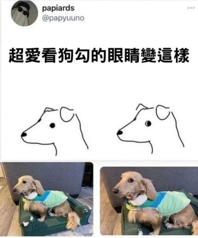 这是一则来自推特（X）的趣味萌宠内容，顶部展示了发布者的账号信息，配有文字“超爱看狗勾的眼睛变这样”。内容通过上下两组对比图呈现：上方是两幅简笔画，分别画出狗狗正常的眼睛状态和变成对眼的状态；下方对应放上了一只穿着绿蓝相间衣服的腊肠犬的实拍照片，第一张里狗狗神态正常，第二张里狗狗转头后眼睛看起来像对眼，形成和简笔画对应的有趣效果，用这种可爱的反差感展现狗狗的治愈趣味瞬间，容易引发喜爱宠物的网友的共鸣。