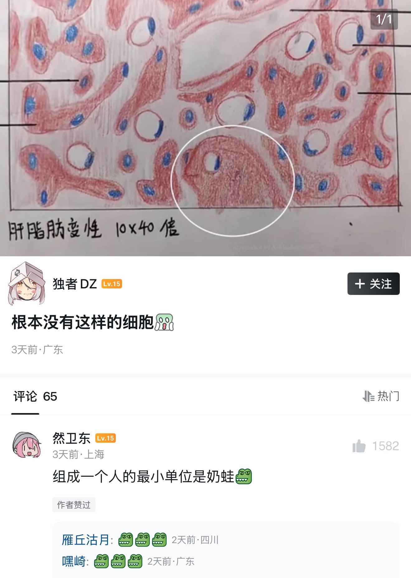 网络迷因/评论区梗封面