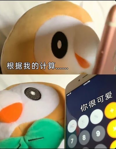 这是一张上下拼接的趣味表情包，上半部分展示了一个带有绿色领结的卡通毛绒玩偶的半张脸，配文“根据我的计算……”，制造出正在进行严谨计算的悬念氛围；下半部分玩偶完整露出，旁边是打开计算器界面的手机，配文“你很可爱”，用拟人化的方式，让玩偶借助“计算器计算”的形式，向观看者传递暖心的夸赞，整体风格软萌治愈，适合在社交场景中用来表达对他人的喜爱与赞美。