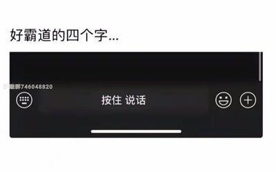 这是一张搞笑玩梗的表情包，上方配有文字“好霸道的四个字...”，下方是微信聊天的语音输入界面，界面中间显示“按住 说话”。该梗利用微信语音输入必须按住才能操作的特性，将“按住说话”这一功能提示调侃成“霸道的四个字”，因为用户需要服从这个指令才能发送语音，以此制造出幽默的反差感，引发使用过微信语音功能的用户共鸣。