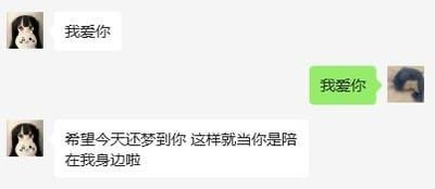 这是一张竖屏的聊天记录截图，对话双方使用可爱的卡通动物头像，展开了一段充满甜蜜与思念的互动：先是一方发送“我爱你”，另一方立刻回复相同的“我爱你”，随后前者又说道“希望今天还梦到你 这样就当你是陪在我身边啦”，直白地传递出想要与对方相伴的深切思念，双向的爱意回应让整个对话充满暖心的氛围。