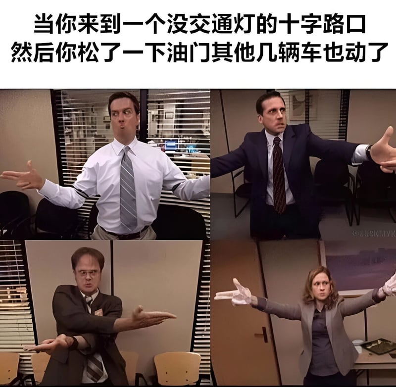 德怀特·施鲁特