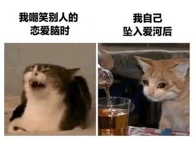 这是一张左右对比的图文混排梗图，通过两只猫咪的表情和动作反差，幽默展现了人们在恋爱前后的态度变化。左侧图片上方文字为“我嘲笑别人的恋爱脑时”，下方是一只灰白相间的猫咪，嘴巴大张，露出牙齿，眼睛眯起，身体向后倾斜，呈现出夸张的嘲笑或不屑表情；右侧图片上方文字为“我自己坠入爱河后”，下方是一只橘白相间的猫咪，睁着圆溜溜的大眼睛，仰头注视着正在往玻璃杯中倒液体的动作，表情呆萌无辜，充满依赖感。两张图形成鲜明对比，讽刺了“双标”现象——自己嘲笑别人恋爱脑，轮到自己却深陷其中。