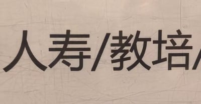 图片展示了一个近距离拍摄的文字标识，画面中清晰可见黑色的中文文字“人寿/教培”，文字被放置在带有纹理的浅色背景上，背景表面有细微的划痕和印记。这是一张纯文字的静态图片，没有人物、图案或其他视觉元素。