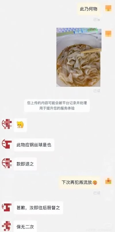 这张图是外卖消费者和商家客服的聊天记录截图，消费者食用所点的宽面类餐品时，发现食物中混杂了疑似钢丝球的银色丝状异物，于是拍摄带有异物的食物照片发送给客服，并用古文言文语气询问“此乃何物”，客服也以文言文风格回应，确认异物为钢丝球，告知会立刻退款，消费者开玩笑称“下次再犯叛流放”，客服致歉表示会立刻去后厨督查，保证不会再发生同类问题，整段对话双方都使用文言句式沟通，和常见的外卖售后对话风格反差强烈，充满诙谐趣味。