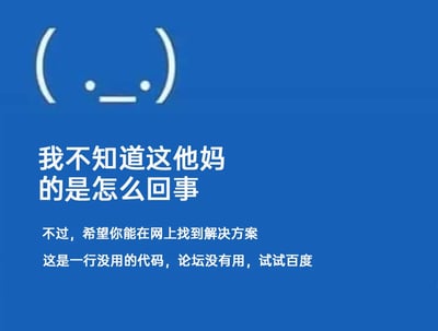 这是一张蓝色背景的静态图文混排图，顶部是由括号、圆点和短横线组成的符号表情，呈现出无奈、烦躁的无语神态；表情下方是大字号粗体文字“我不知道这他妈的是怎么回事”，直白地传递出遇到问题时的烦躁情绪；紧接着是两行小字提示：“不过，希望你能在网上找到解决方案”和“这是一行没用的代码，论坛没有用，试试百度”。整体模仿软件故障报错页面的样式，用接地气的口语化内容，调侃了技术从业者遇到无解问题时的无力处境，同时给出了实际的搜索建议，充满自嘲和趣味，容易引发技术相关人群的共鸣。