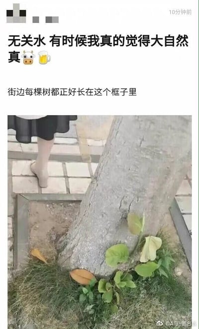 暂无描述