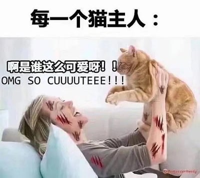 这张图是一张猫咪梗图，展现了养猫人士的日常：尽管被猫抓得满手都是伤痕，主人依然无比疼爱自家的猫。配图中，一位主人抱着橘猫亲昵互动，手脚上全是明显的抓痕，但依旧一脸宠爱地称猫很可爱，并用中英文表达“OMG SO CUUUUTEEE!!!”。场面搞笑又现实，吐槽了猫奴在被猫伤害后仍无怨无悔的反差心理。整体语气轻松幽默，带有明显自嘲和可爱元素。
双关/暗示：表现出“爱与痛的统一”——在受伤的同时依然宠爱，含有自嘲和调侃意味。