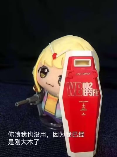 图片中是一个金发Q版娃娃，有着大大的眼睛和略带不满的表情，手持一把小型枪械。娃娃身后有一个红白相间的机体部件，上面印有“UNT SPACY”和“WB102 EFSF”等字样。图片底部配有文字“你喷我也没用，因为我已经是刚大木了”。其中“刚大木”是中文网络对“高达（Gundam）”的谐音戏称，结合机体部件上的“EFSF”（地球联邦宇宙军，出自《机动战士高达》系列），形成了与高达系列的趣味关联。