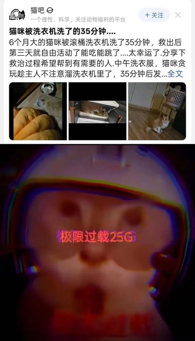 这是一张上下拼接的趣味梗图，上半部分是百度贴吧「猫吧」的用户帖子截图，记录了一只6个月大的猫咪溜进滚筒洗衣机被洗35分钟后获救，仅三天就恢复正常能吃能跳的真实经历，还配有猫咪康复后的照片；下半部分是带有「极限过载25G」字样的特效画面，用来夸张地调侃猫咪在洗衣机内高速翻滚的状态，仿佛经历了极限过载的考验，用搞笑的方式表现猫咪的离奇遇险与幸运康复。